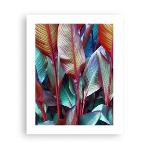Poster - Buntes Dickicht - 40x50 cm