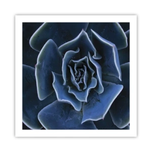 Poster - Wüstenblume - 60x60 cm