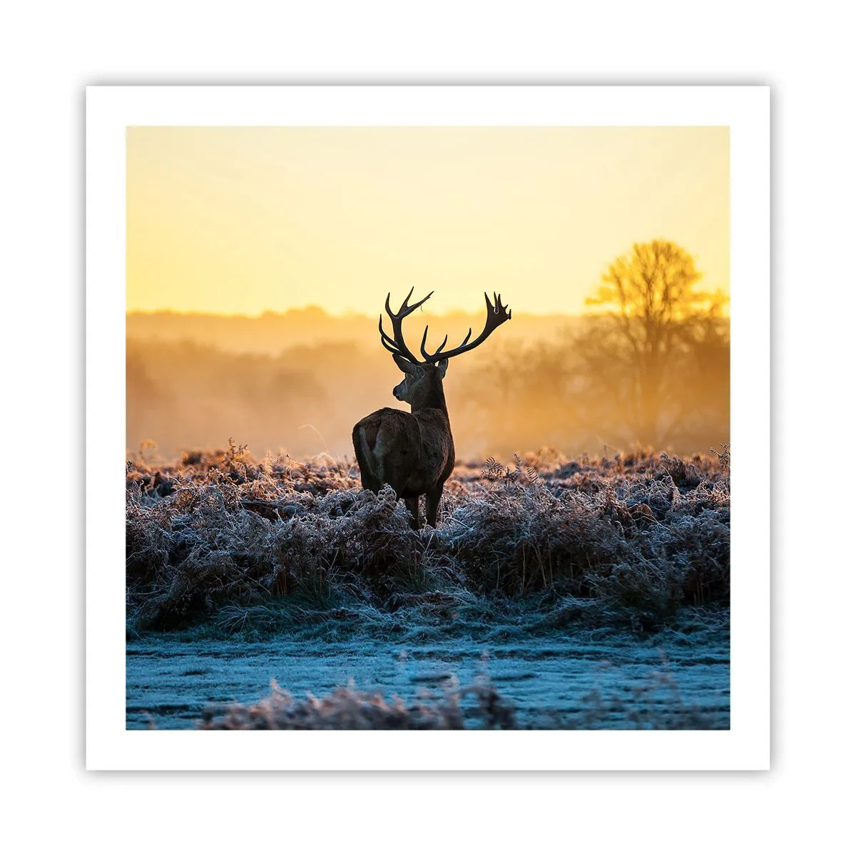 Poster - Gekrönt auf seinem Besitz - 60x60 cm