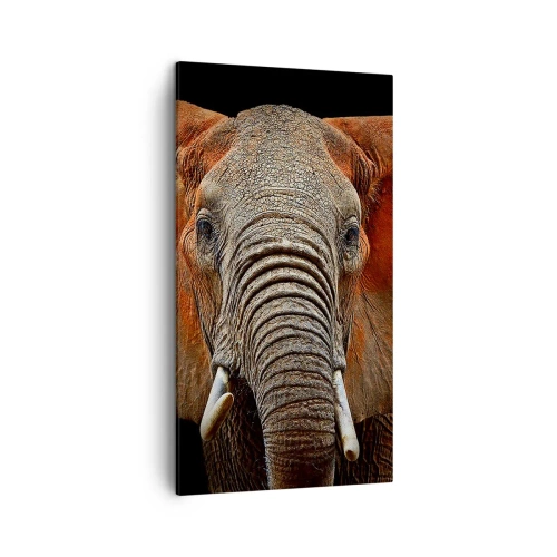 Bild auf Leinwand - Leinwandbild - Ich bin wild und du? - 45x80 cm