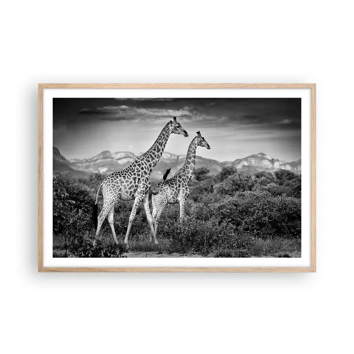 Poster in einem Rahmen aus heller Eiche - Hohe Sphären in Afrika - 91x61 cm