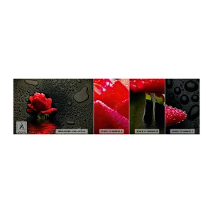 Fototapeten Muster Premium Sand - rot und Schwarz - Blumen, Rose, Wasser - 100x30 cm