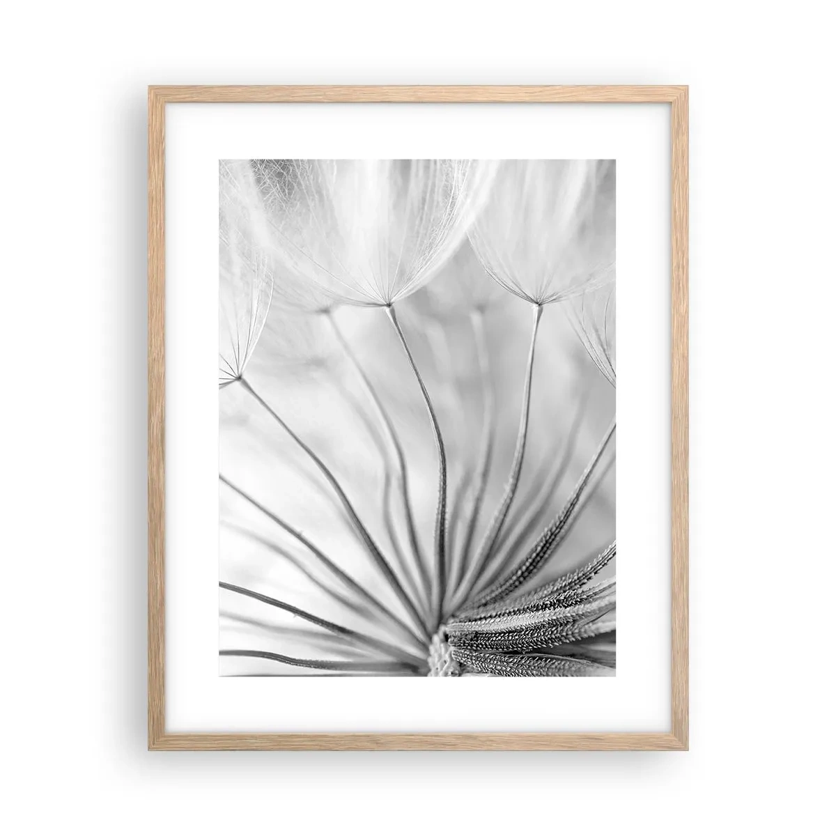 Poster in einem Rahmen aus heller Eiche - Löwenzahn, Drachen - 40x50 cm