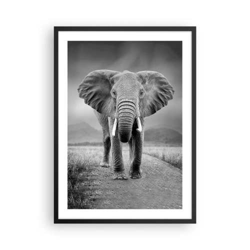 Poster in einem schwarzem Rahmen - Ein Elefant vor einer afrikanischen Landschaft in Schwarzweiß - 50x70cm - Der Gastgeber heißt willkommen - Moderne Wanddekoration für Wohnzimmer und Schlafzimmer ARTTOR