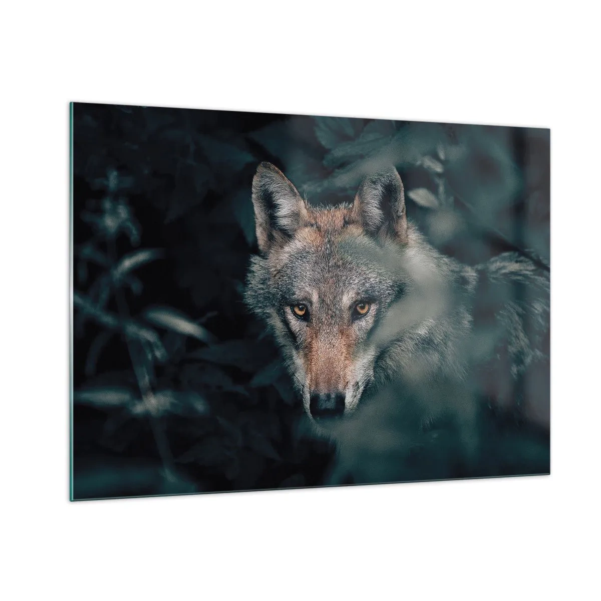 Glasbild - Bild auf glas - Ein Wolf beobachtet wachsam aus seinem Versteck im Walddickicht - 100x70cm - Jäger - Moderne Wanddekoration für Wohnzimmer und Schlafzimmer ARTTOR