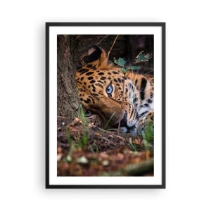 Poster in einem schwarzem Rahmen - Ein liegender Leopard mit intensiv blauen Augen - 50x70cm - Vertrau mir - Moderne Wanddekoration für Wohnzimmer und Schlafzimmer ARTTOR