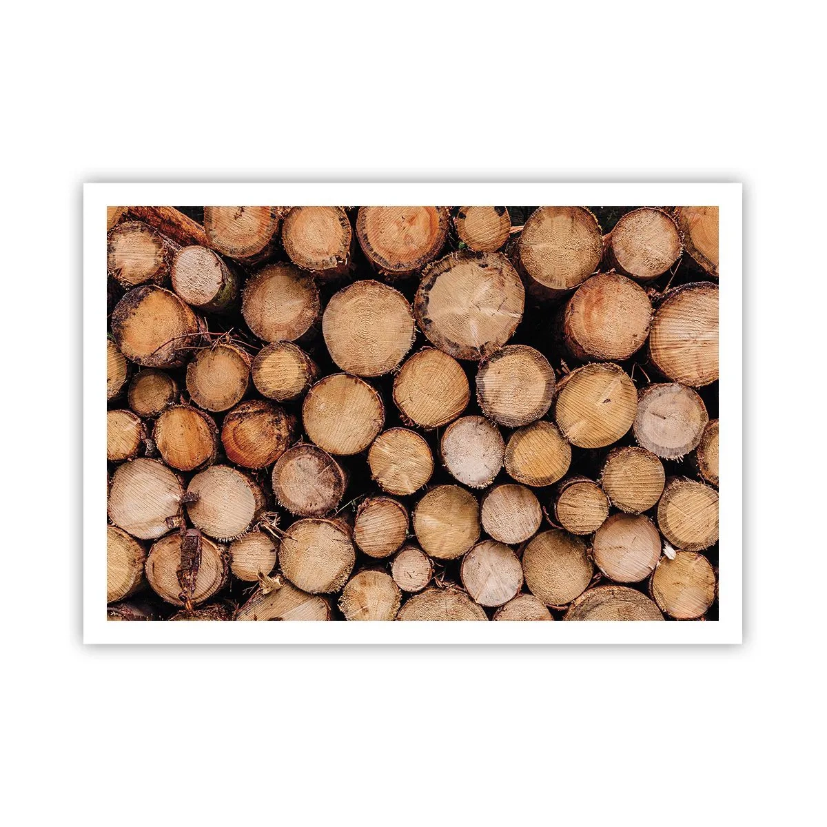 Poster - Stapel gefällter Baumstämme in harmonischer Anordnung - 100x70cm - Ein neuer Anfang - Moderne Wanddekoration für Wohnzimmer und Schlafzimmer ARTTOR