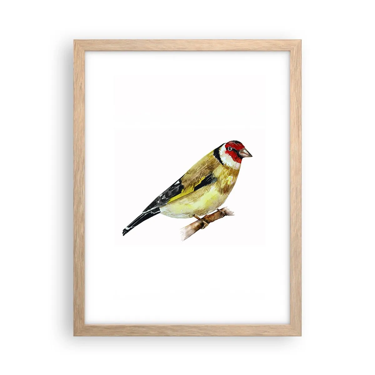 Poster in einem Rahmen aus heller Eiche - Vogelporträt - 30x40 cm