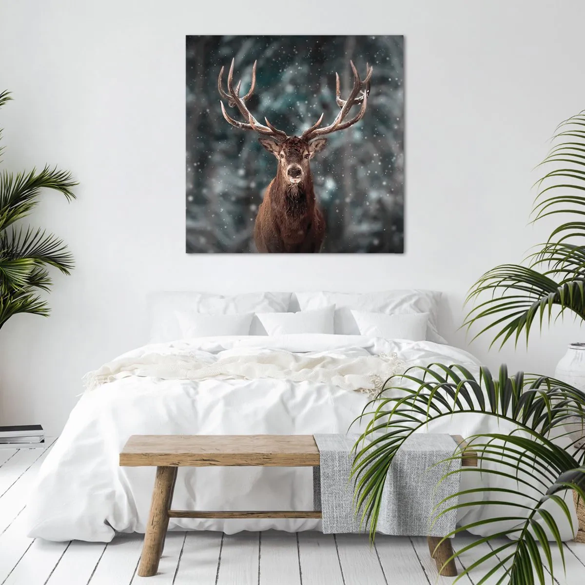 Bild auf Leinwand - Leinwandbild - Gekrönter König des Waldes - 30x30 cm