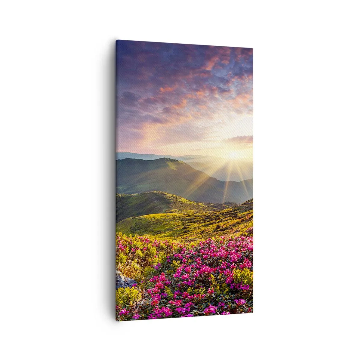 Bild auf Leinwand - Leinwandbild - Frische am Bergmorgen - 55x100 cm