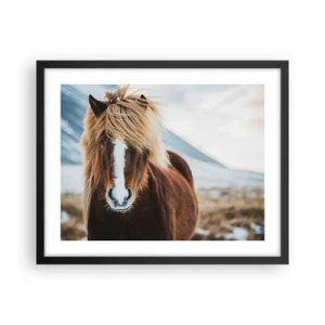 Poster in einem schwarzem Rahmen - Spürst du die Freiheit? - 50x40 cm