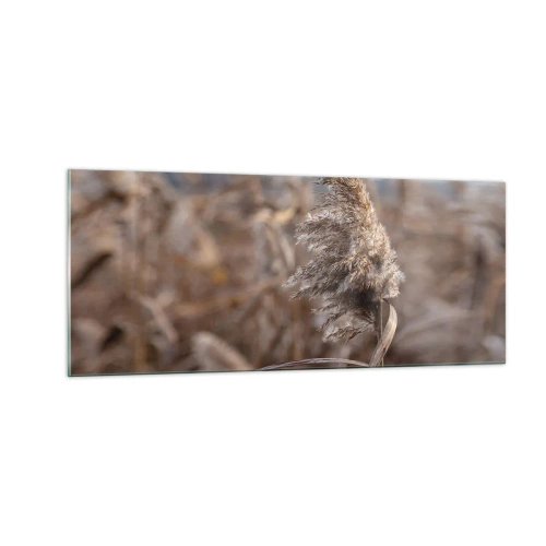 Glasbild - Bild auf glas - Zeit, mit dem Wind zu gehen - 100x40 cm