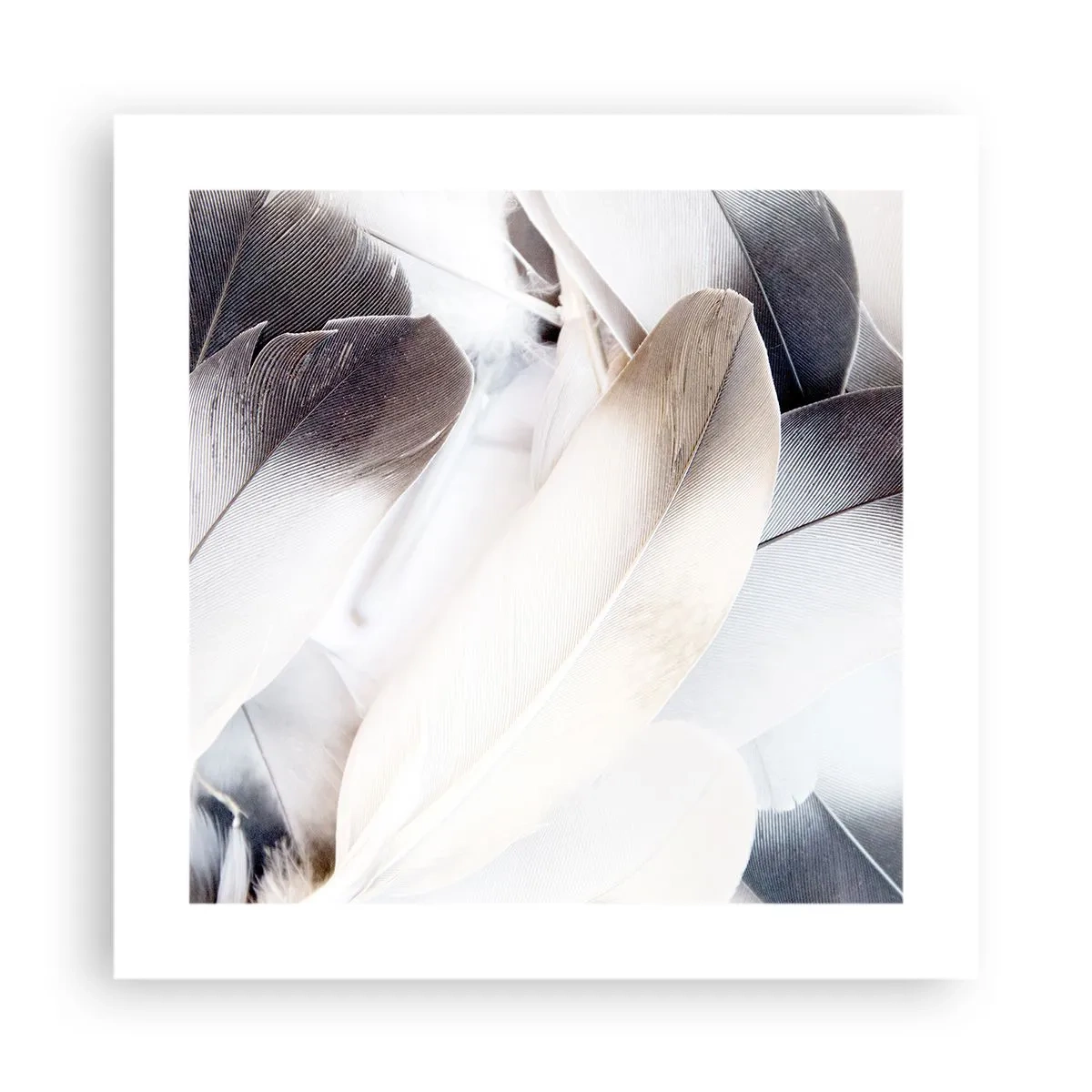 Poster - Fast engelhaft - 40x40 cm