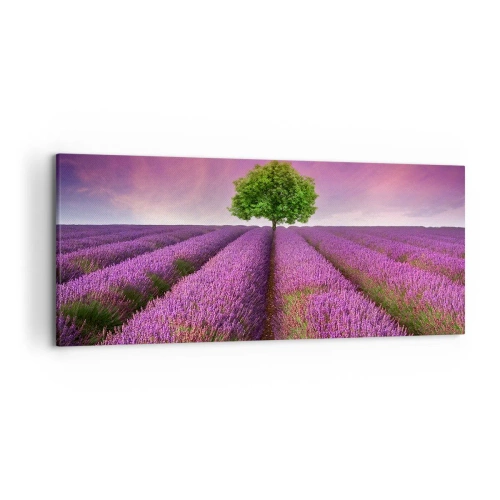 Bild auf Leinwand - Leinwandbild - Ein Lavendelfeld mit einem einsamen Baum und einem violetten Himmel - 120x50cm - Auf Lavendelfeldern - Moderne Wanddekoration für Wohnzimmer und Schlafzimmer ARTTOR