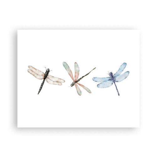 Poster - Schwerelose Libellen - 50x40 cm