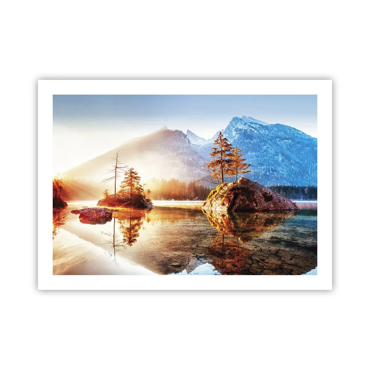 Poster - Natur in neuem Licht - 70x50 cm