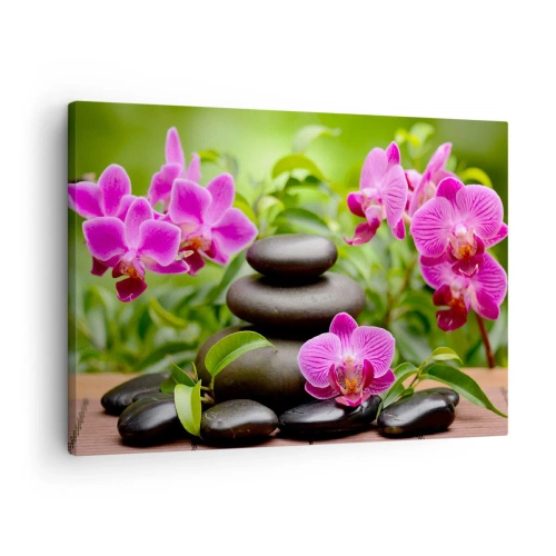 Bild auf Leinwand - Leinwandbild - Rosa Orchideen mit Steinen auf grünem Hintergrund - 70x50cm - Die Pyramide des Friedens - Moderne Wanddekoration für Wohnzimmer und Schlafzimmer ARTTOR