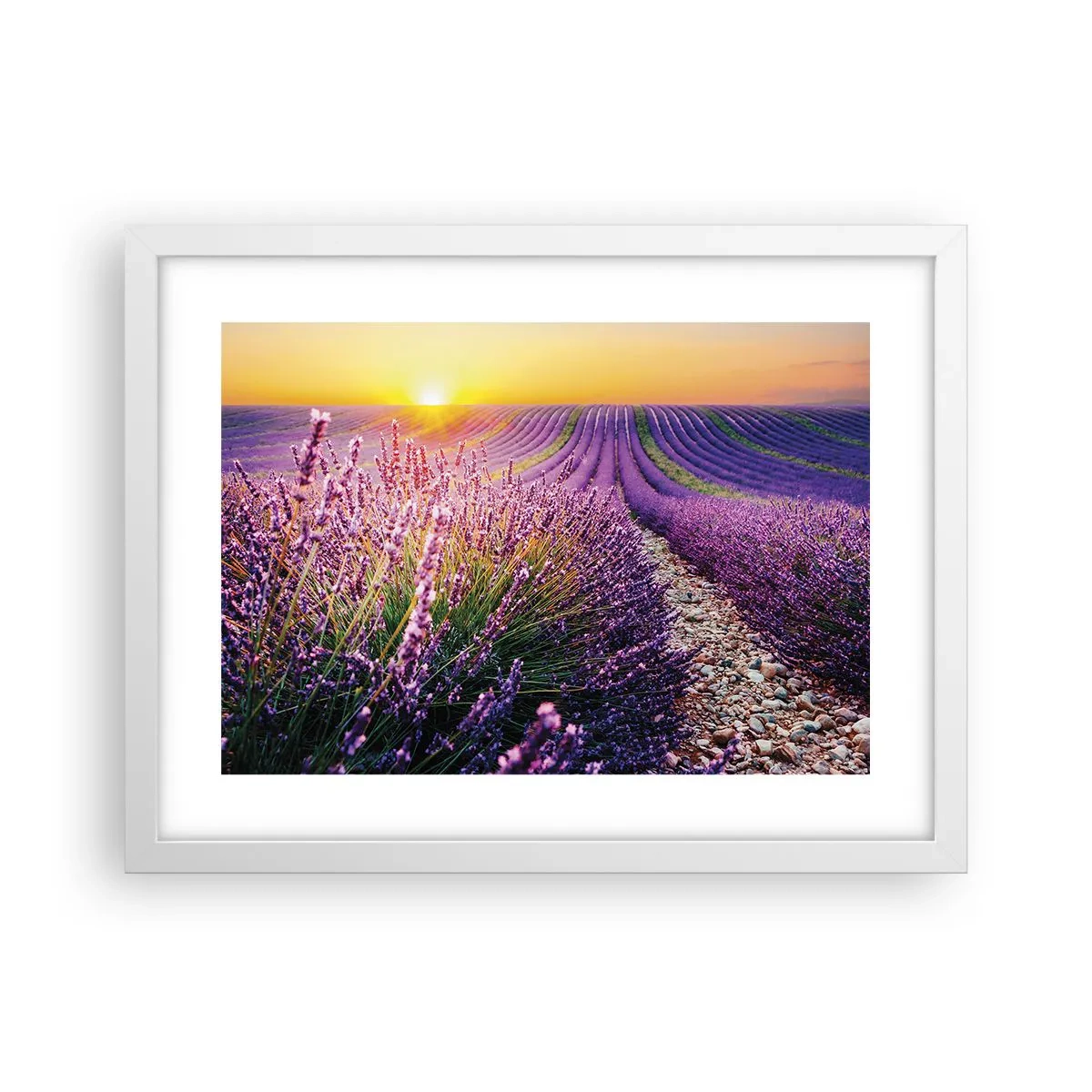 Poster in einem weißen Rahmen - Duftende Kornfelder - 40x30 cm