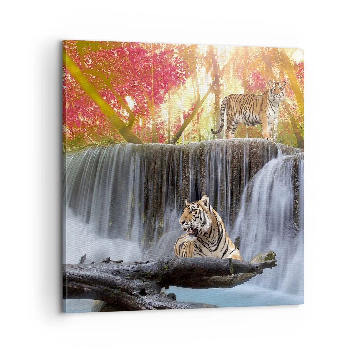 Bild auf Leinwand - Leinwandbild - Surreale Landschaft - 60x60 cm