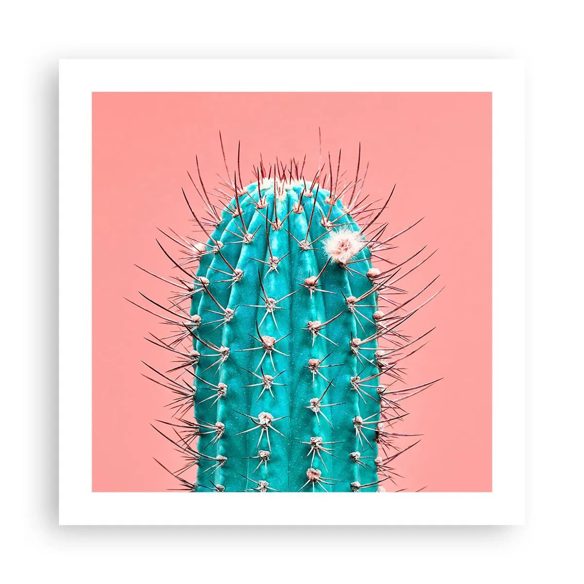 Poster - Schau einfach hin - 50x50 cm