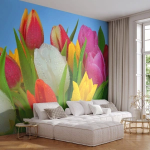 Fototapete Premium Sand - Ein blumiger Regenbogen in Tautropfen - Tulpen, Blumen, Blumenstrauß - 300x210 cm