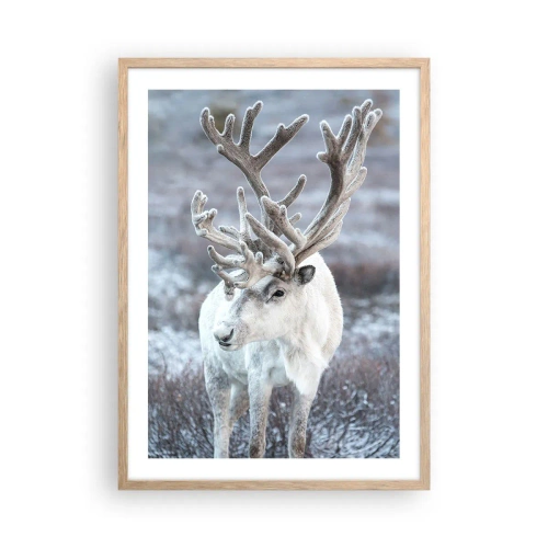 Poster in einem Rahmen aus heller Eiche - Porträt in der Sonne - 50x70 cm