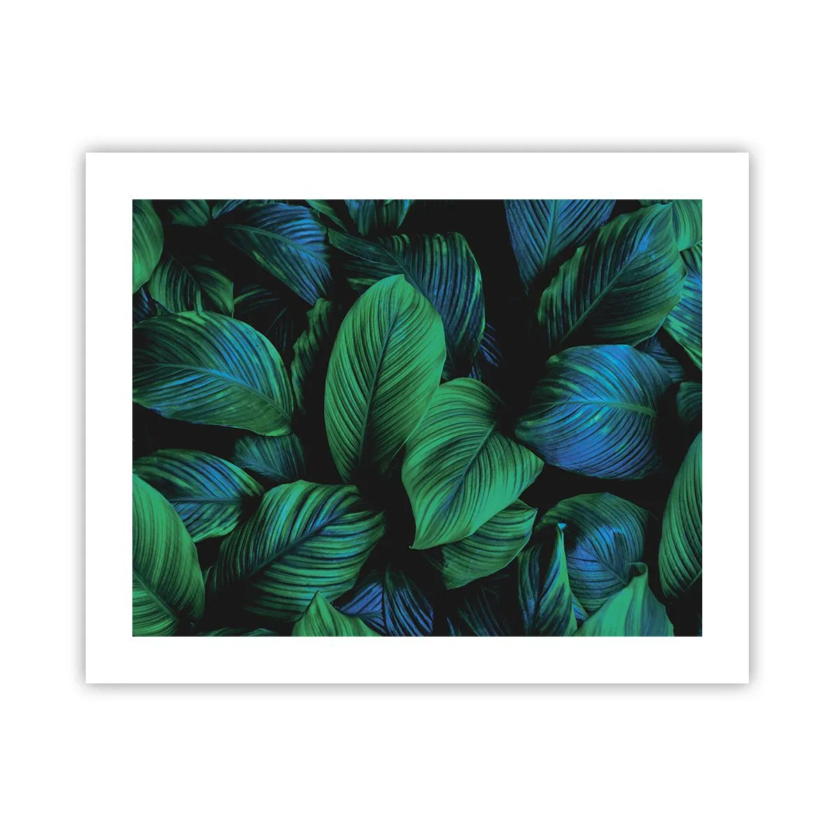 Poster - In der grünen Menge - 50x40 cm