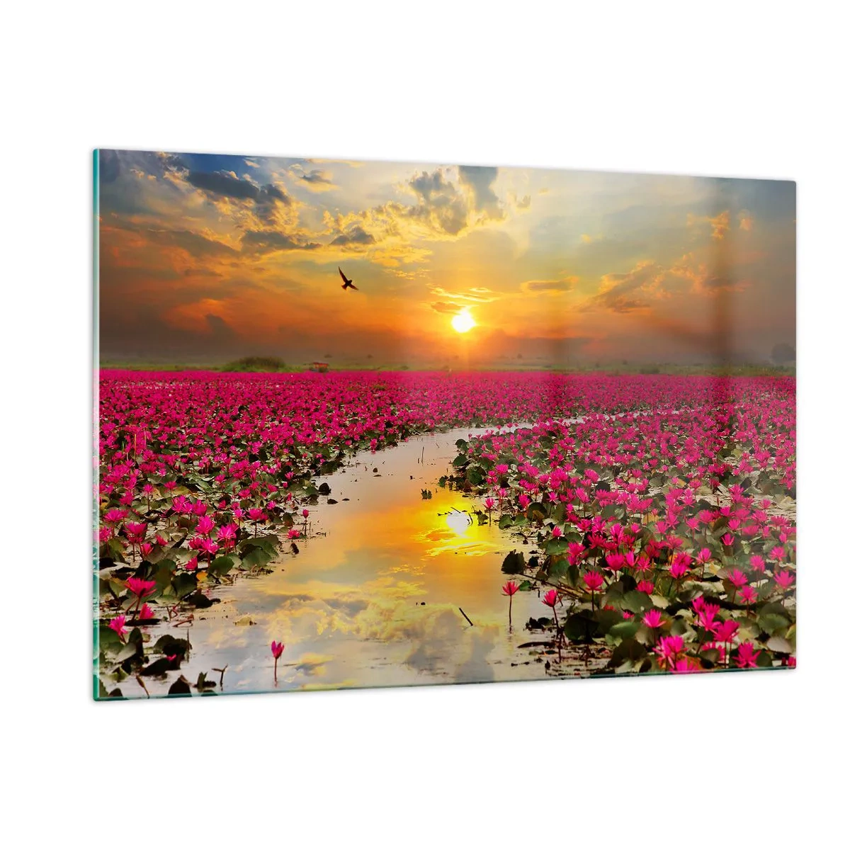 Glasbild - Bild auf glas - Rosa Seerosen auf einem See bei Sonnenuntergang - 120x80cm - Das geheime Leben des Sees - Moderne Wanddekoration für Wohnzimmer und Schlafzimmer ARTTOR