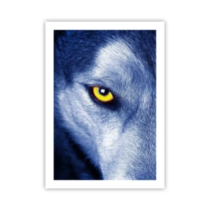 Poster - Eine Nahaufnahme des gelben Auges eines Wolfes in einem Blauton - 50x70cm - Faszinierender Blick - Moderne Wanddekoration für Wohnzimmer und Schlafzimmer ARTTOR