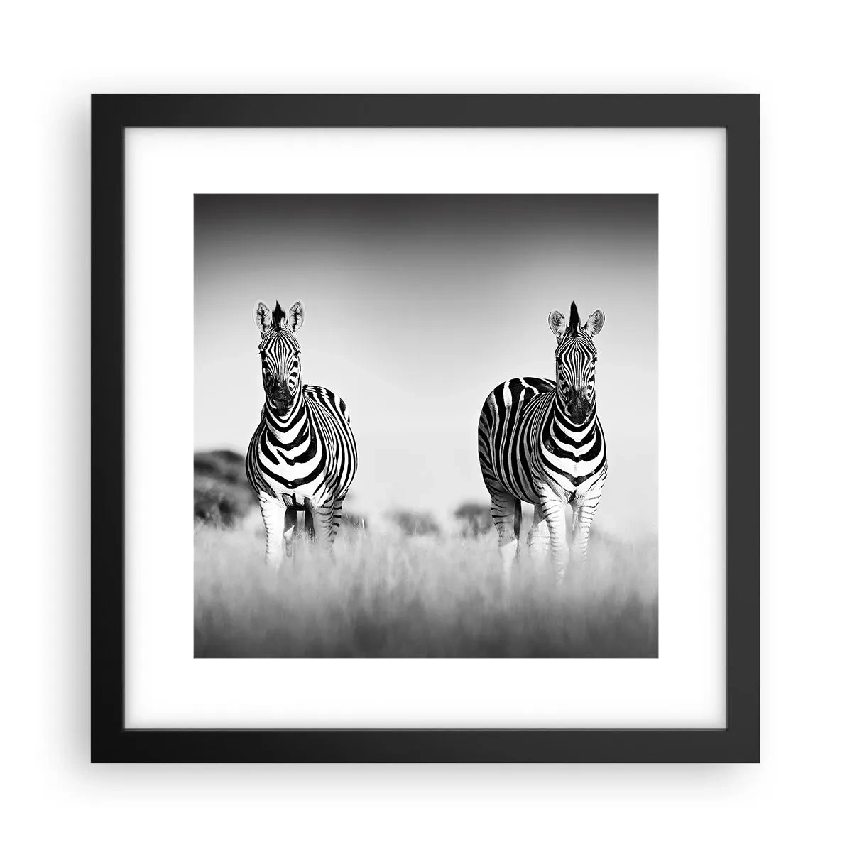 Poster in einem schwarzem Rahmen - Die Welt ist doch schwarz-weiß - 30x30 cm