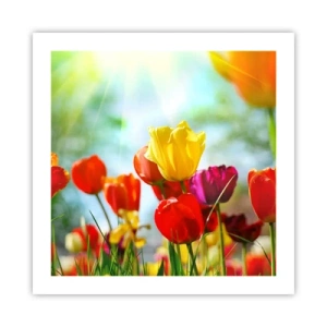 Poster - Alle Farben der Sonne - 50x50 cm