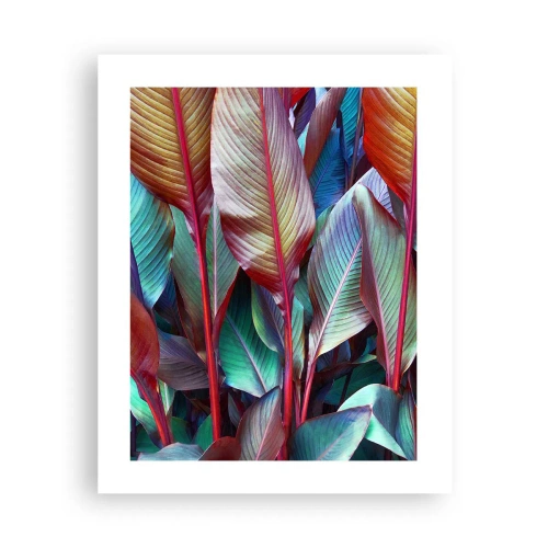 Poster - Buntes Dickicht - 40x50 cm