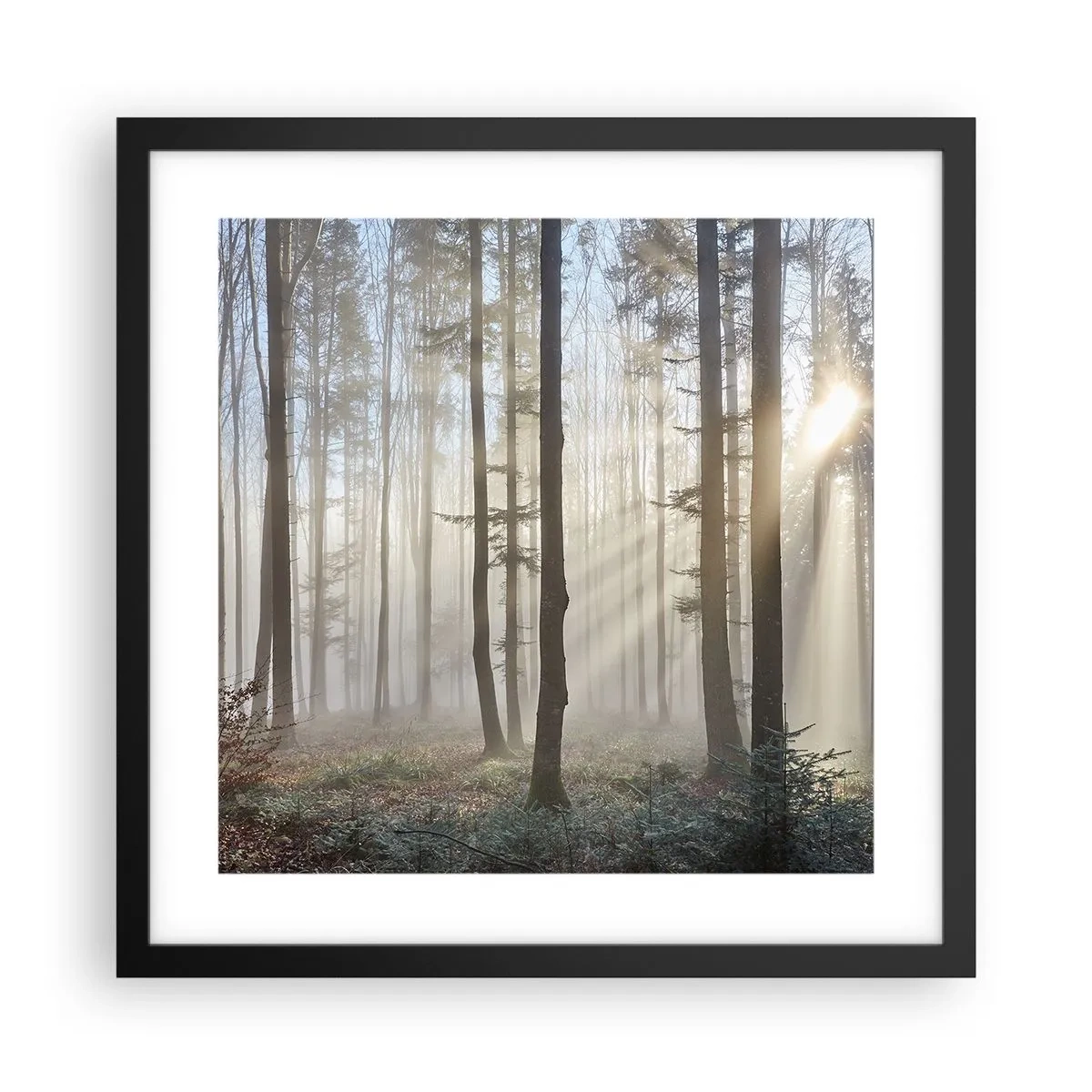 Poster in einem schwarzem Rahmen - Der Nebel ist auch aufgewacht - 40x40 cm