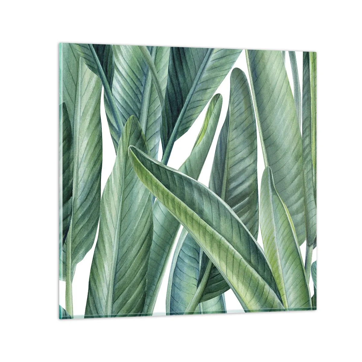 Glasbild - Bild auf glas - An und für sich Grün - 40x40 cm