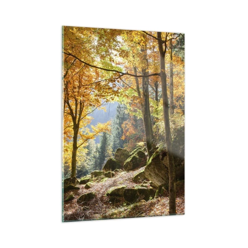 Glasbild - Bild auf glas - Herbstwald mit Sonnenstrahlen und Steinen - 50x70cm - Zeit zum Entspannen - Moderne Wanddekoration für Wohnzimmer und Schlafzimmer ARTTOR