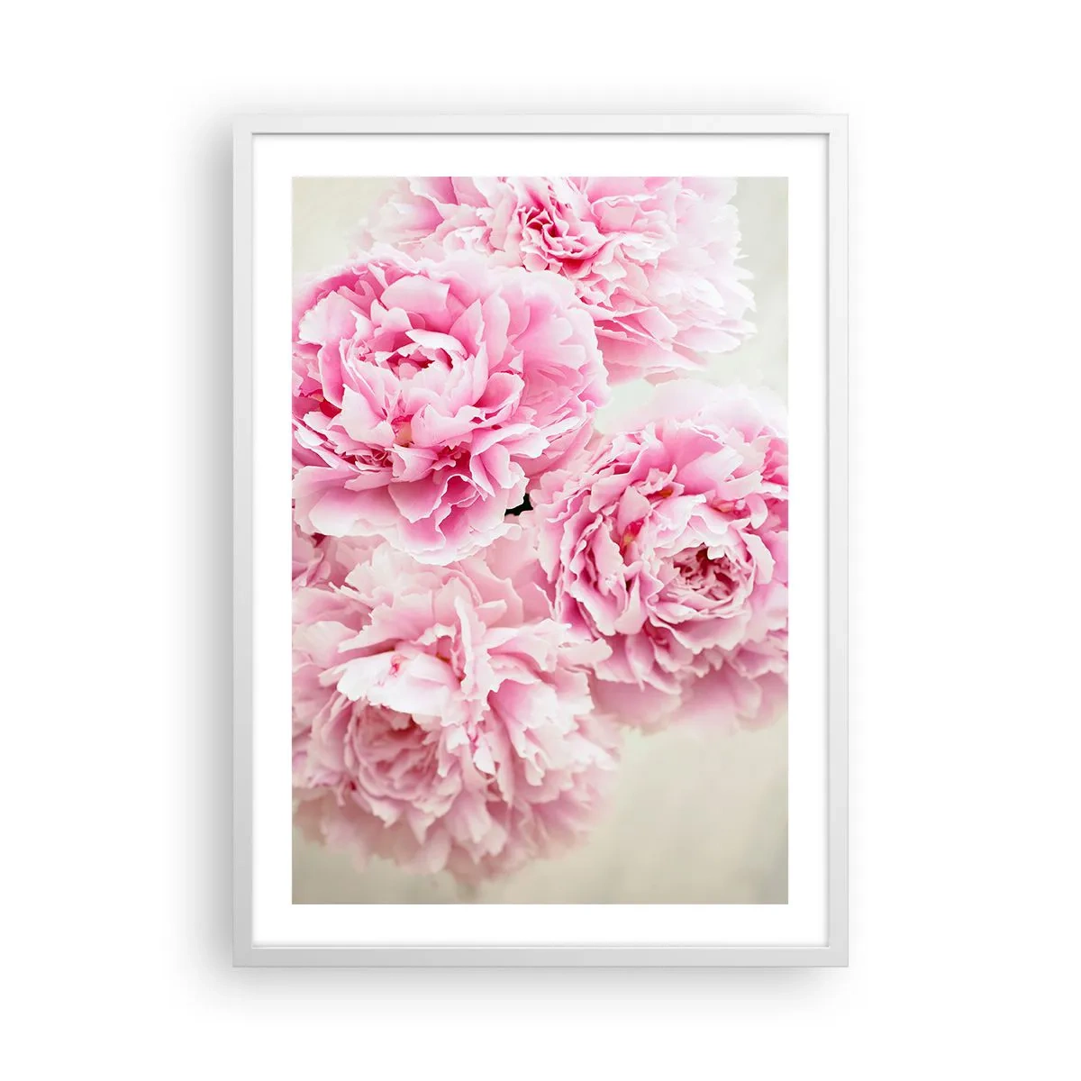 Poster in einem weißen Rahmen - In rosa Glamour - 50x70 cm