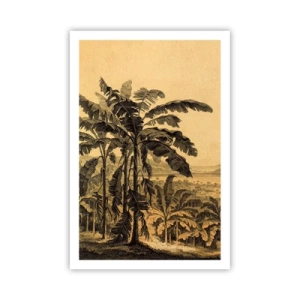 Poster - in einem kolonialen Klima - 61x91 cm