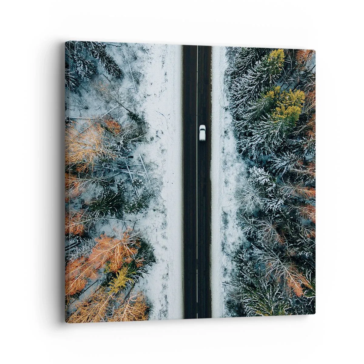 Bild auf Leinwand - Leinwandbild - Schnitt durch den Winterwald - 40x40 cm