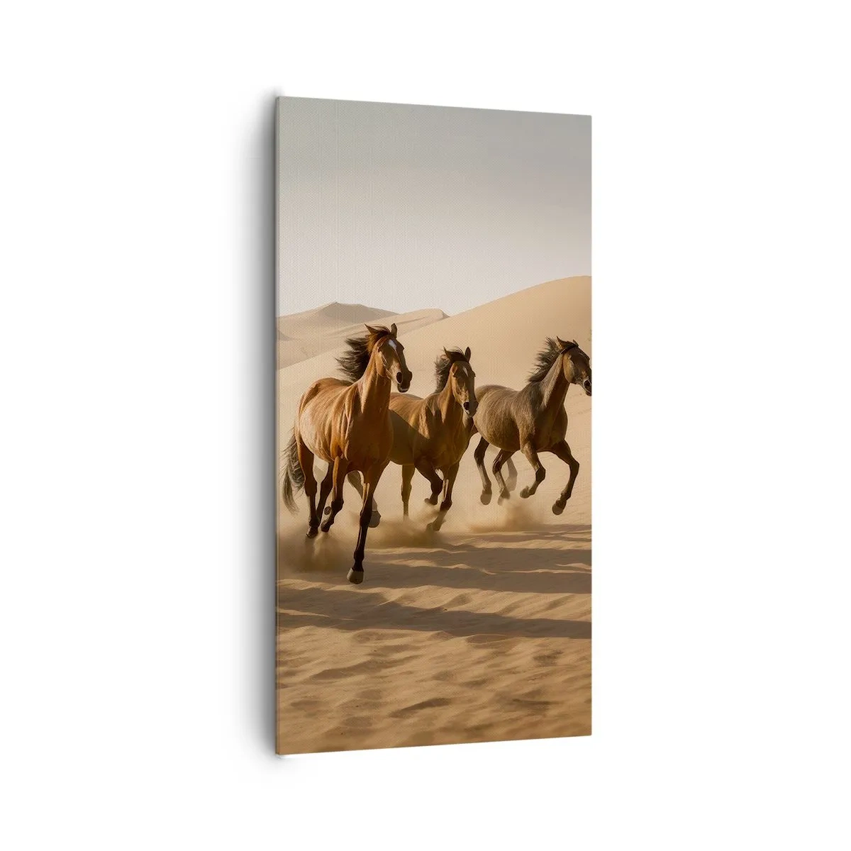 Bild auf Leinwand - Leinwandbild - Frei wie der Wind - 65x120 cm