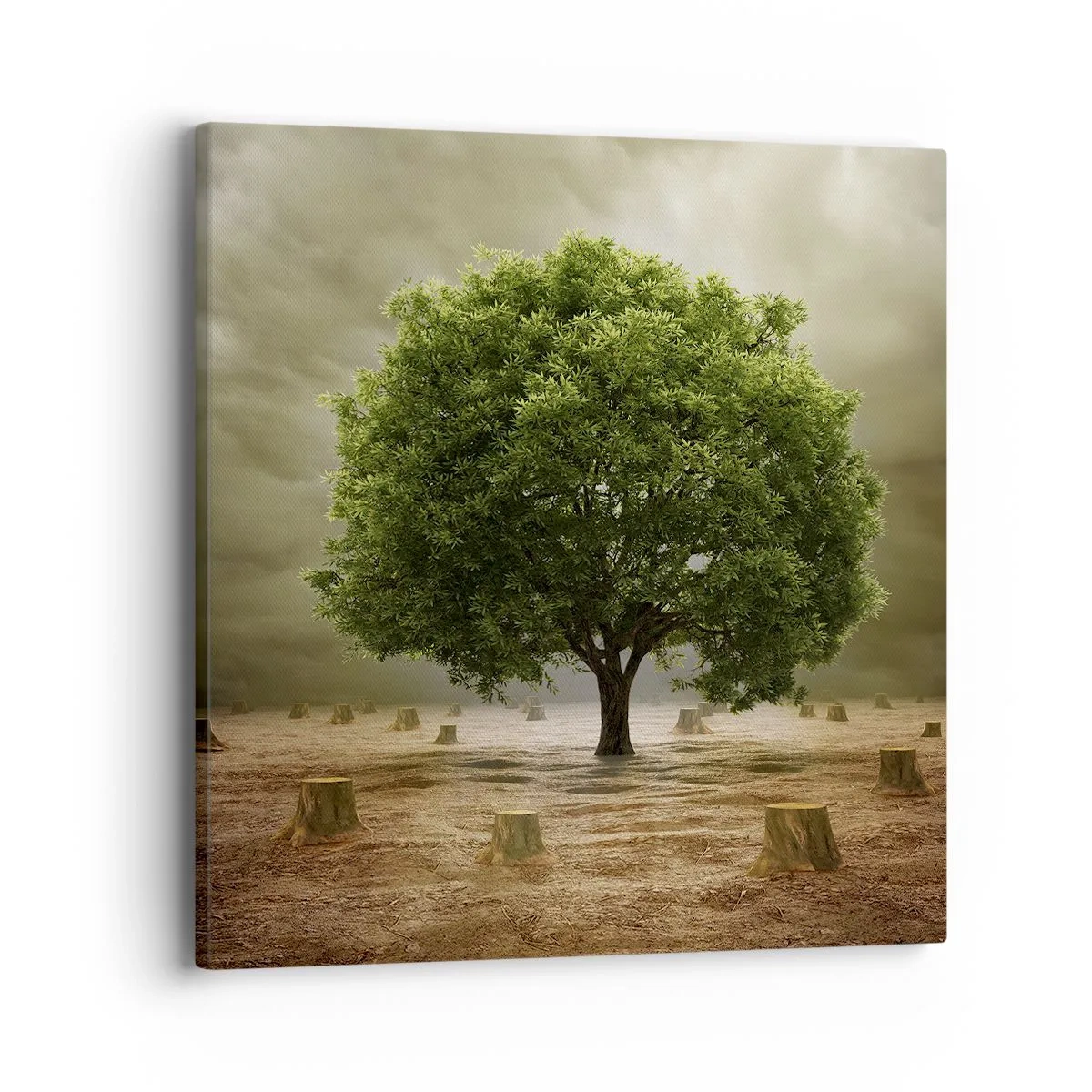 Bild auf Leinwand - Leinwandbild - Alle Hoffnung - 40x40 cm