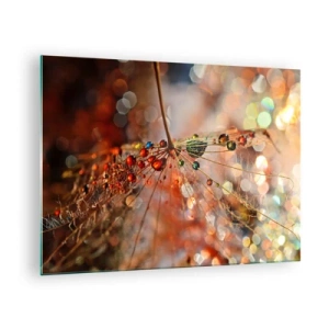 Glasbild - Bild auf glas - Wassertropfen auf einem zarten Spinnennetz im Bokeh-Licht - 70x50cm - Auf einem Spinnenfaden aufgefädelt - Moderne Wanddekoration für Wohnzimmer und Schlafzimmer ARTTOR