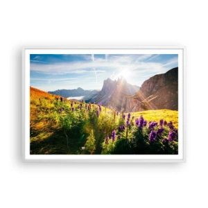 Poster in einem weißen Rahmen - Das geheime Leben der Kräuter - 100x70 cm