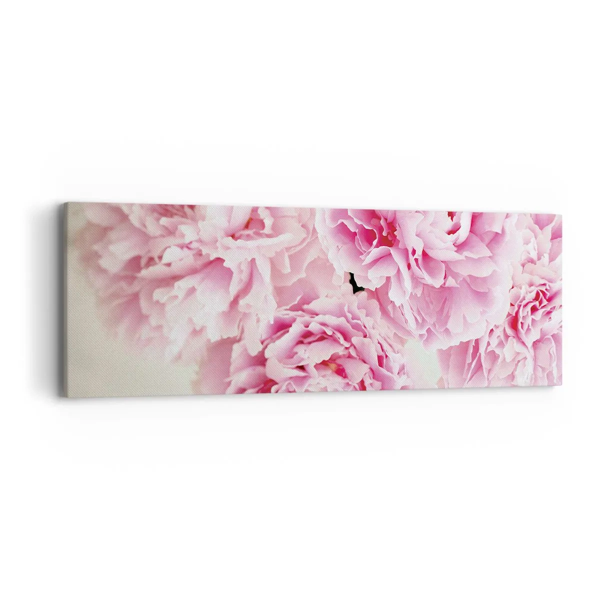 Bild auf Leinwand - Leinwandbild - In rosa Glamour - 90x30 cm