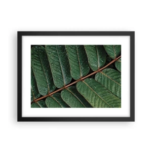 Poster in einem schwarzem Rahmen - Im grünen Rhythmus - 40x30 cm