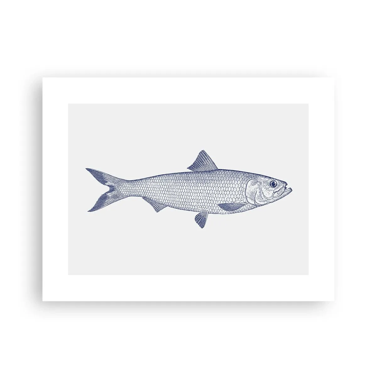 Poster - Grüße aus den nördlichen Meeren - 40x30 cm