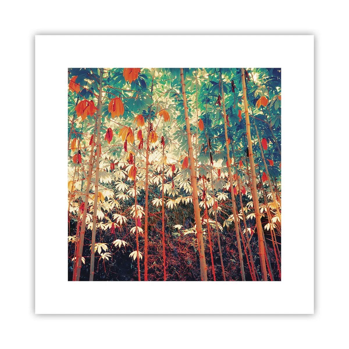 Poster - Das geheime Leben der Blätter - 30x30 cm