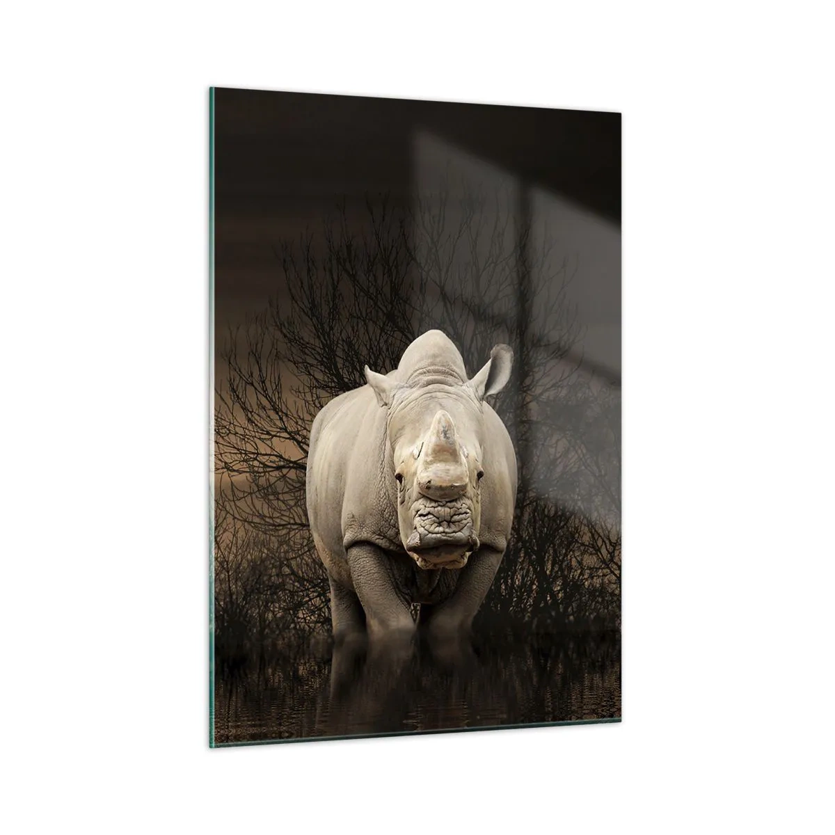 Glasbild - Bild auf glas - Nashorn vor der untergehenden Sonne - 50x70cm - Weiß gegen die Natur - Moderne Wanddekoration für Wohnzimmer und Schlafzimmer ARTTOR