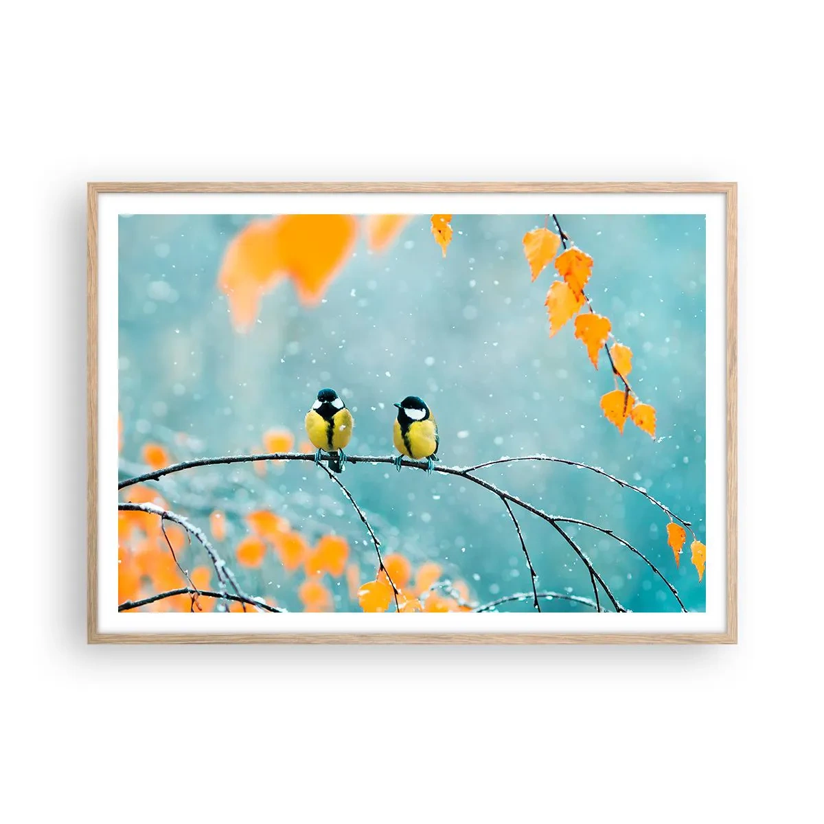 Poster in einem Rahmen aus heller Eiche - Vogelklatsch - 100x70 cm