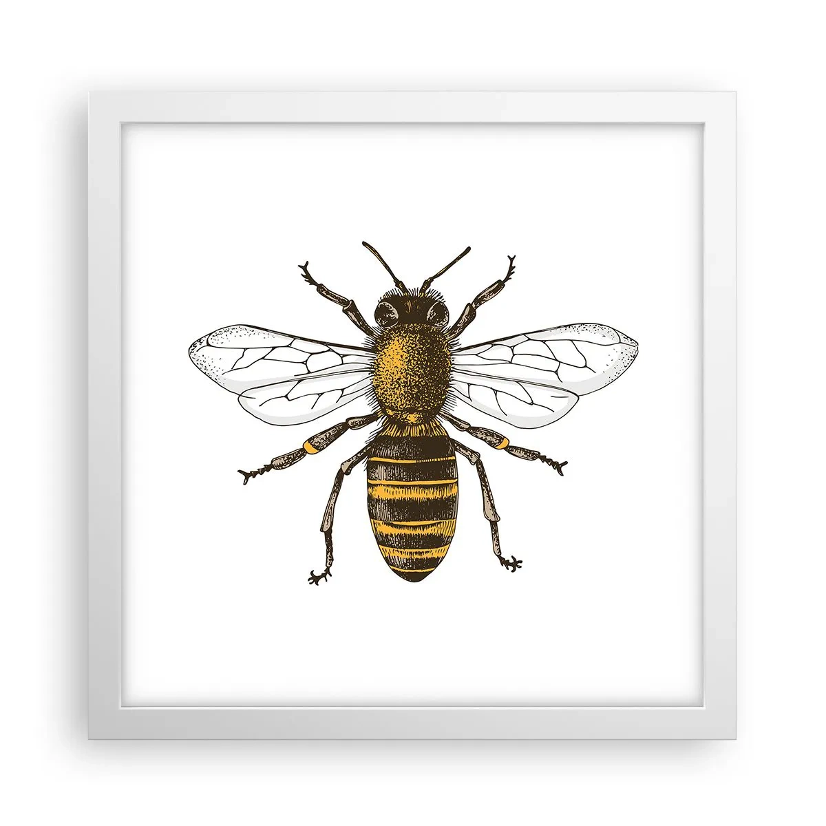 Poster in einem weißen Rahmen - Schön und gut - 30x30 cm