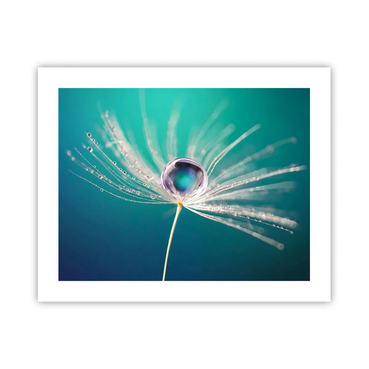 Poster - Mystischer Moment - 50x40 cm